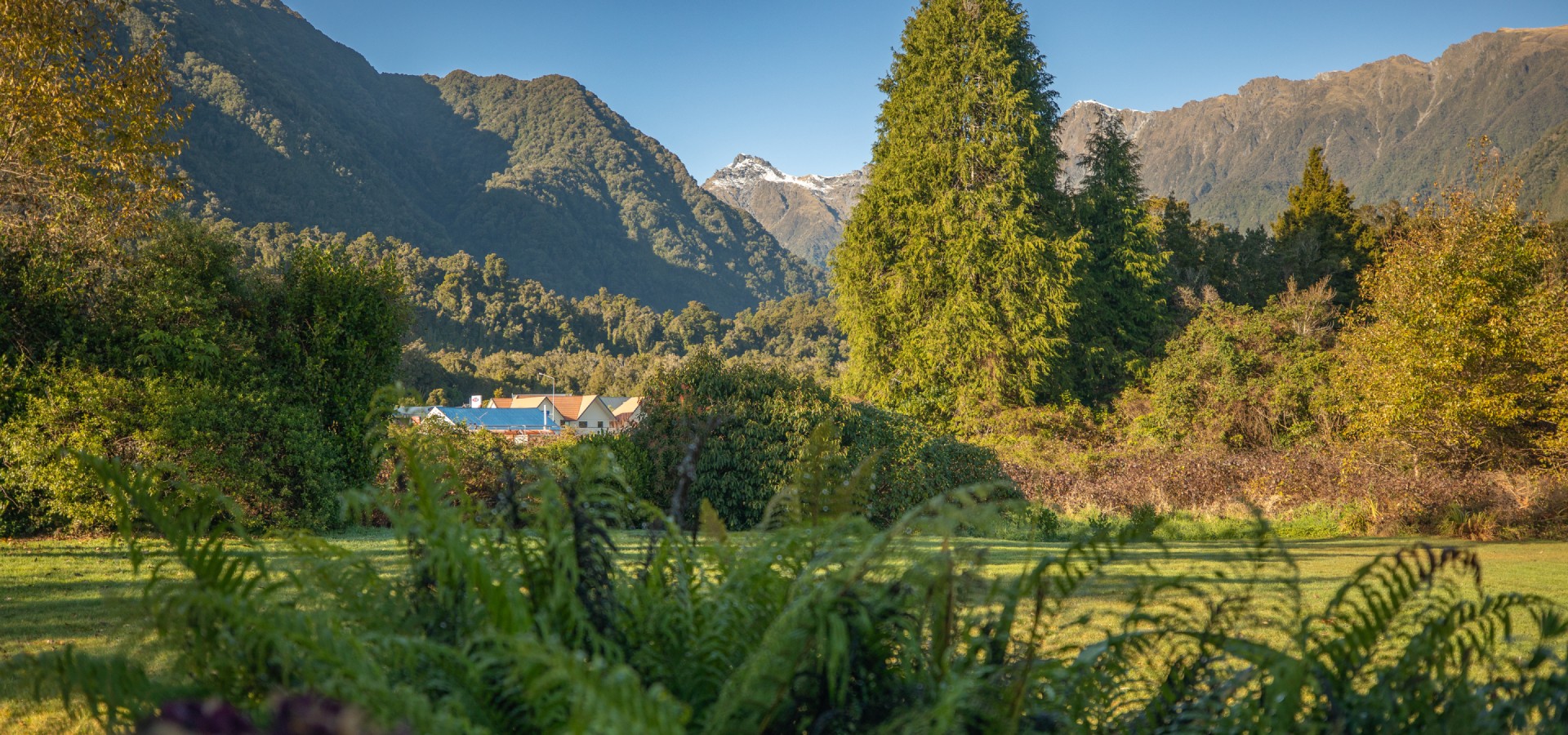 Stay in Fox Glacier